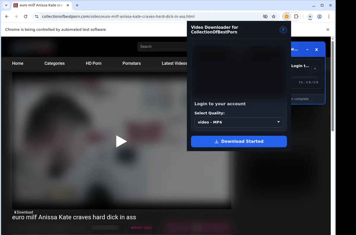 Collectionofbestporn Video Downloader screenshot 2