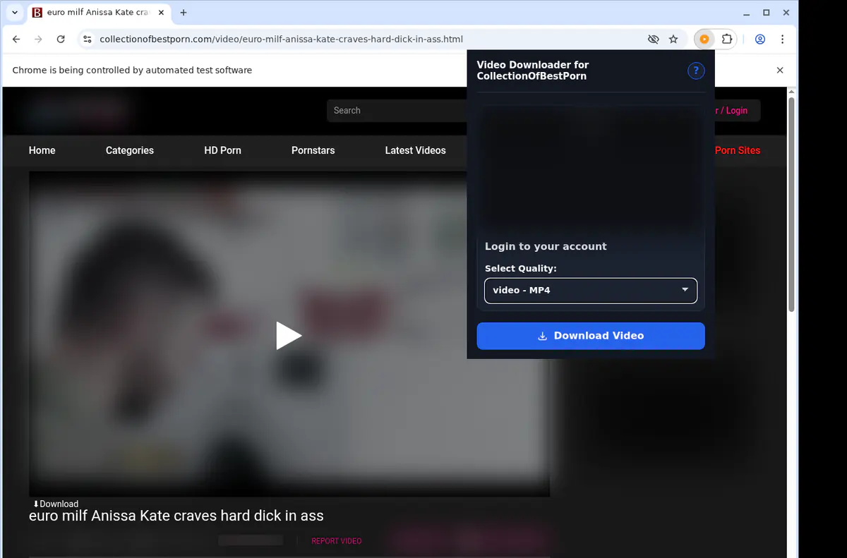 Collectionofbestporn Video Downloader screenshot 3
